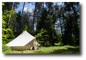 Forest Campsite CaEx
